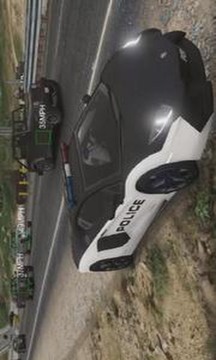 Real Sunny Police Car Simulator 2019 3D游戏截图2