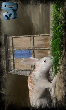 真正的兔子模拟器游戏截图4