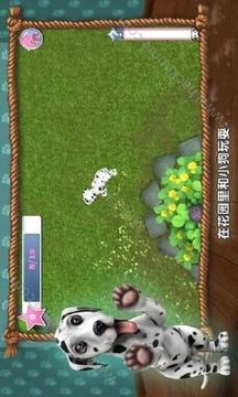 狗世界游戲截圖2