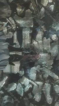 紫羅蘭永恒花園游戲截圖3