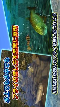 3D假蠅釣魚(yú)2游戲截圖1