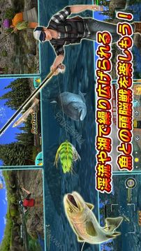 3D假蠅釣魚(yú)2游戲截圖2