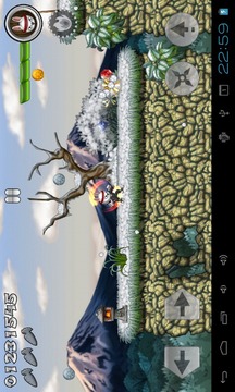 Bun-Fu Free Platform Game游戲截圖4