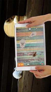 Cat Games, Mouse游戲截圖3