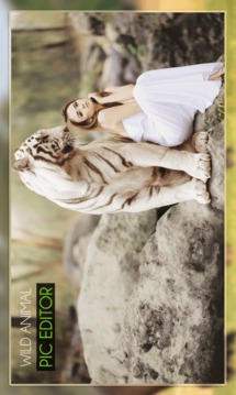 Wild Animal Photo Editor - Animal Photo Frames游戲截圖3