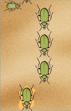 Smash the Beetles游戏截图2