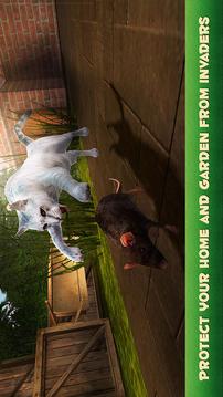 Home Cat Survival Simulator 3D游戲截圖2