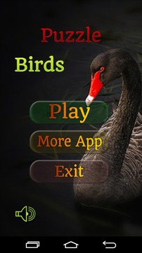 Puzzle Birds游戲截圖1