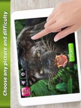 Zoo Jigsaw Puzzles for Family - Puzzle Games游戲截圖2