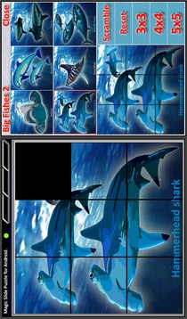 Magic Slide Puzzle B Fishes 2游戲截圖5