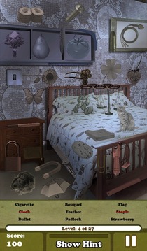 Hidden Object: Haunted House 4游戲截圖5