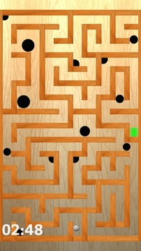 Ball & Maze Puzzle游戲截圖4