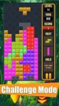 Terris Block Puzzle Classic游戲截圖3
