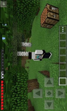 Mod Jet Pack游戲截圖2