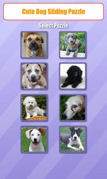Cute Dog Sliding Puzzle游戲截圖1