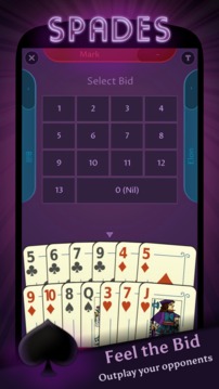 Spades Offline游戲截圖3