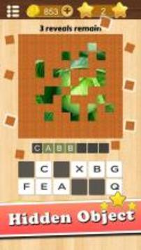 Guess The Picture - Trivia Quiz游戏截图2