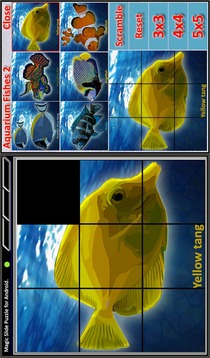 Magic Slide Puzzle A Fishes 2游戲截圖4