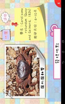 蟹保王游戲截圖3