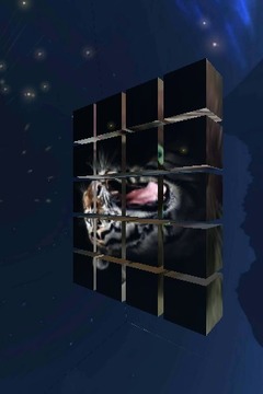 Puzzle 3D Blocks游戲截圖1