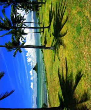 Hawaii Island Jigsaw Puzzles游戲截圖3