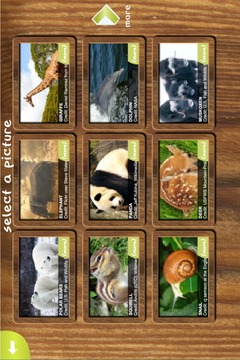 Jigsaw Animal Pic Free Edition游戲截圖3