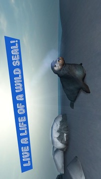 Seal Survival Simulator 3D游戲截圖1