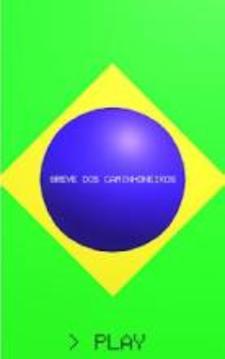Greve dos Caminhoneiros游戲截圖4