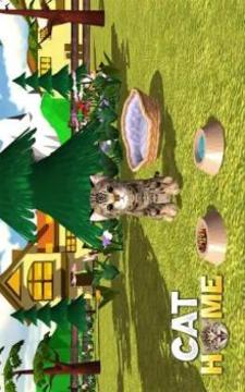 Cat Home : Kitten Daycare & Kitty Care Hotel游戲截圖1