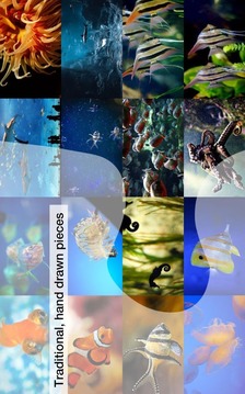 Aquarium Fish Jigsaw Puzzles游戲截圖3