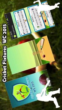 World Cup Fixtures 2015游戲截圖2