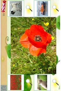 Guess the Image for Kids游戲截圖3
