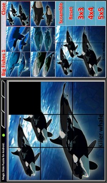 Magic Slide Puzzle B Fishes 1游戲截圖4