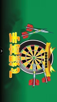 飛鏢高手之等級大賽游戲截圖4