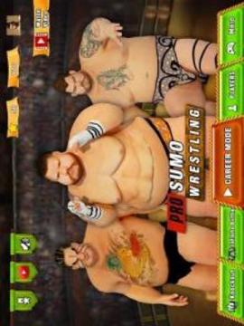 Sumo Wrestling Fighting: Sumo Fight 2018游戲截圖3