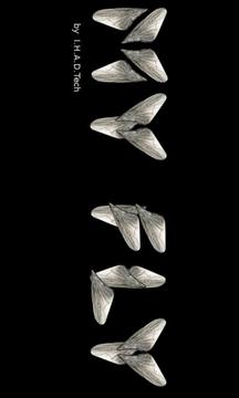 My Fly游戲截圖1