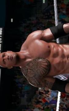 Total Action Insanity Wrestling Videos游戲截圖1