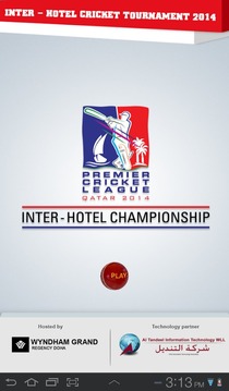 Premium Cricket League游戲截圖1
