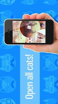What is your cat? 3D游戲截圖5