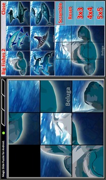 Magic Slide Puzzle B Fishes 2游戲截圖1