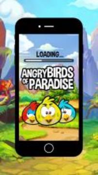 Bird Games : Birds of Paradise are Angry游戲截圖1