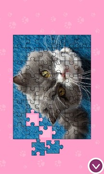 Cats - Jigsaw Puzzles游戲截圖2
