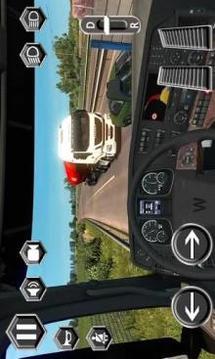 Real Truck Driver Driving Sim 3D游戲截圖4