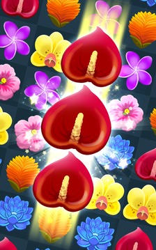 Blossom Blitz Tropic游戲截圖1