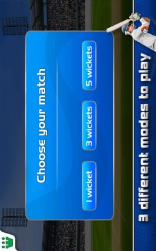 Ultimate Turbo Cricket游戲截圖1