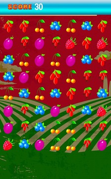 Fruit Fever Rush Match Puzzle游戲截圖5