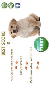 Golden Retriever Adventure Game游戲截圖3
