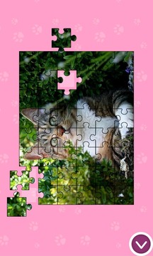 Cats - Jigsaw Puzzles游戲截圖4