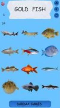 Learning Name Of Fishes - practice, test, sound游戏截图3
