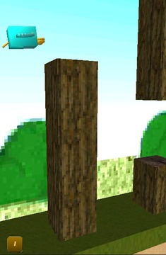 Crazy Birds 3D游戲截圖3